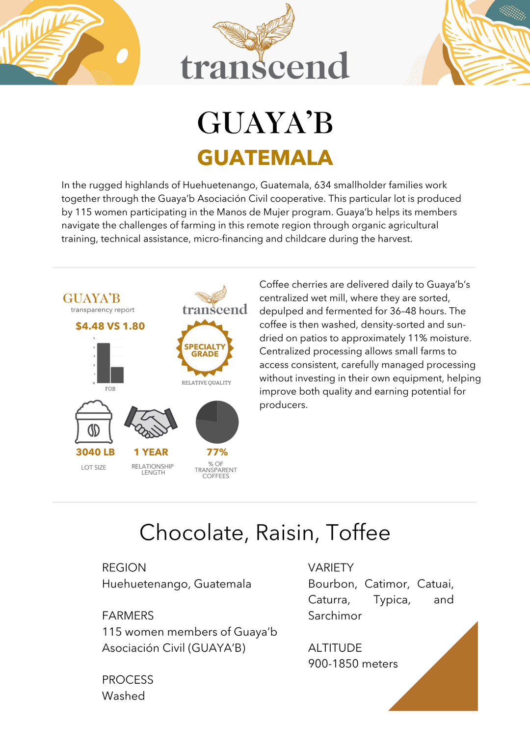 Transcend Coffee Guaya'b Info Sheet.