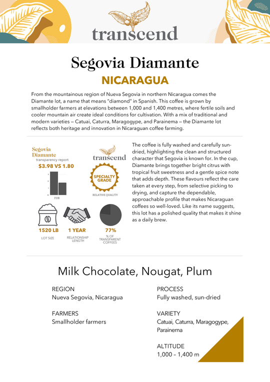 Transcend Segovia Diamante Nicaragua coffee info sheet with product details.