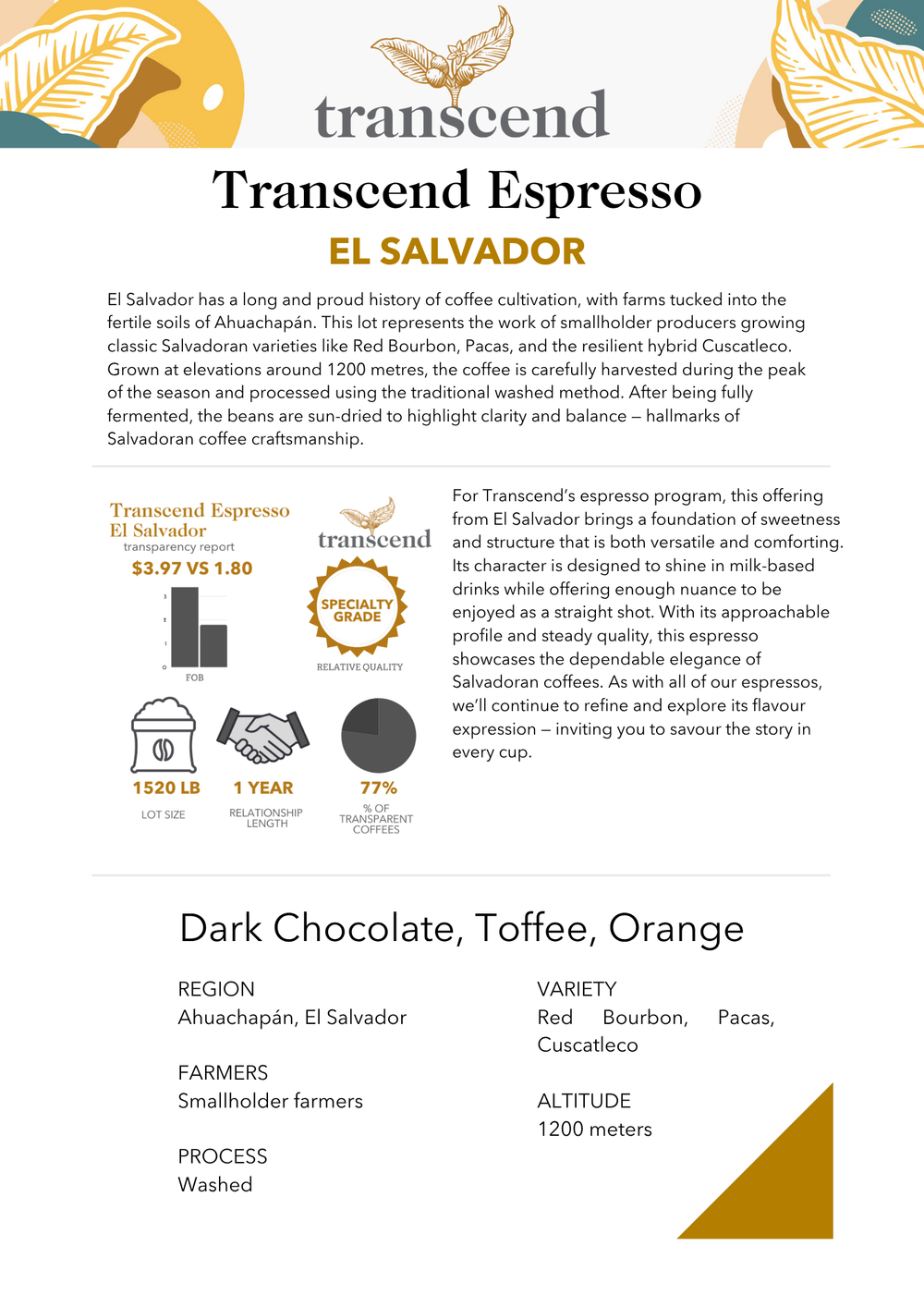 An info sheet on Transcend Coffee's El Salvador Espresso