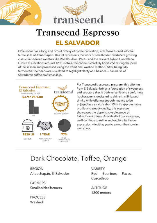 An info sheet on Transcend Coffee's El Salvador Espresso