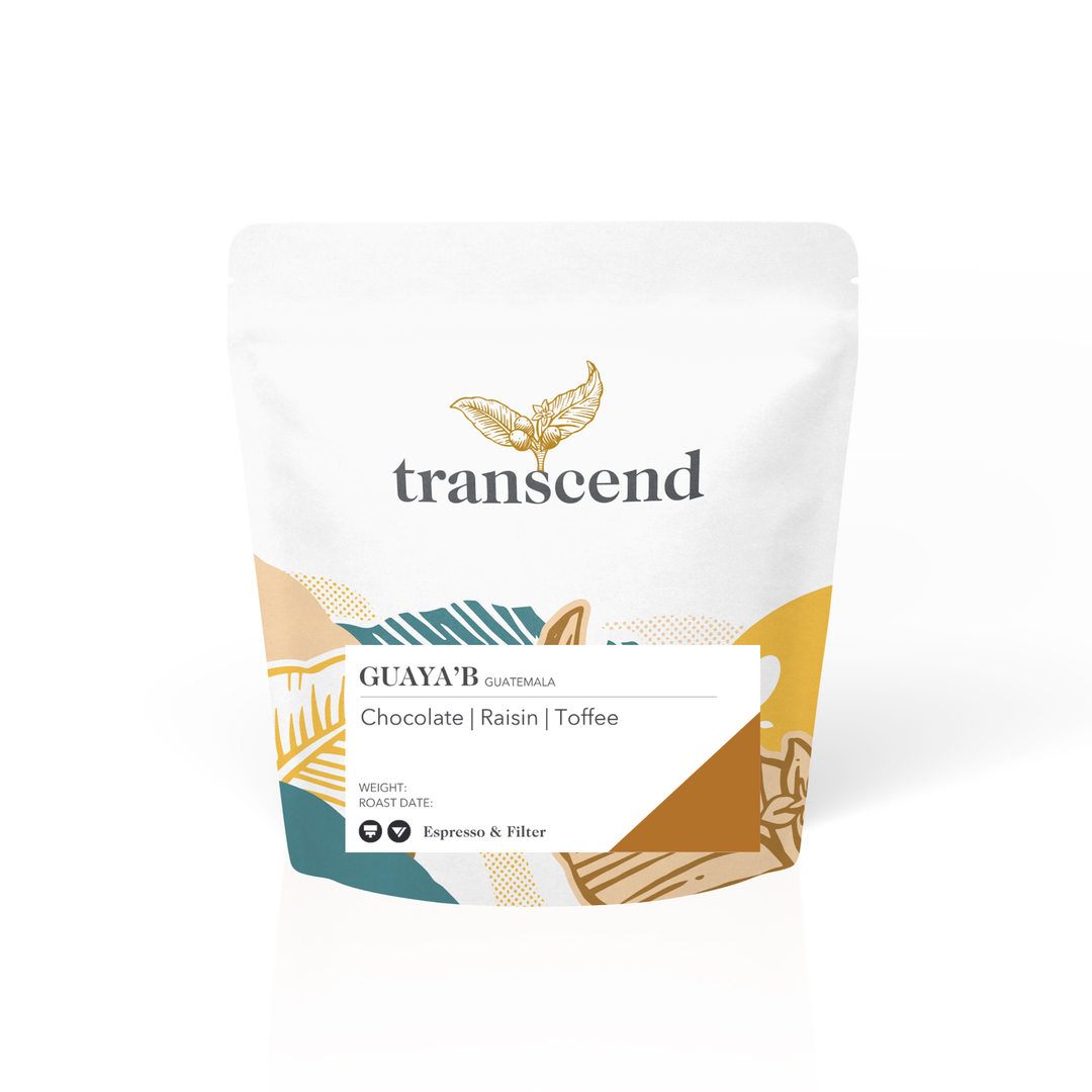 A bag of Transcend Coffee 60g Guaya'b.