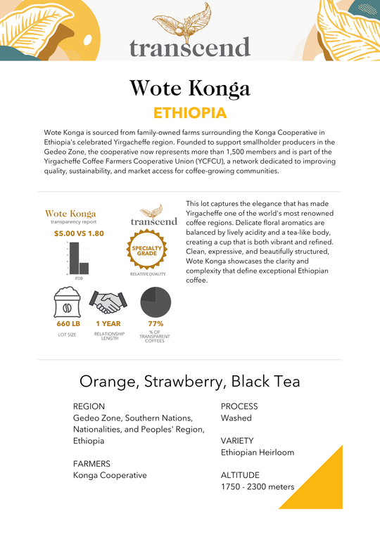 Transcend Coffee Wote Konga Info Sheet