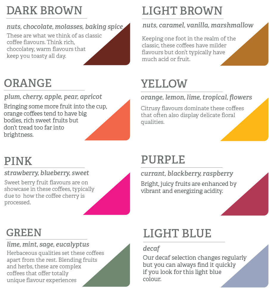 Transcend Coffee Flavour Profiles