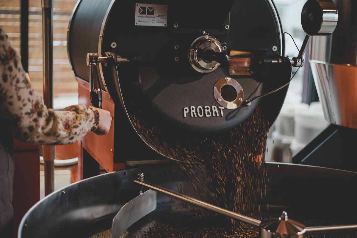 Transcend roastery